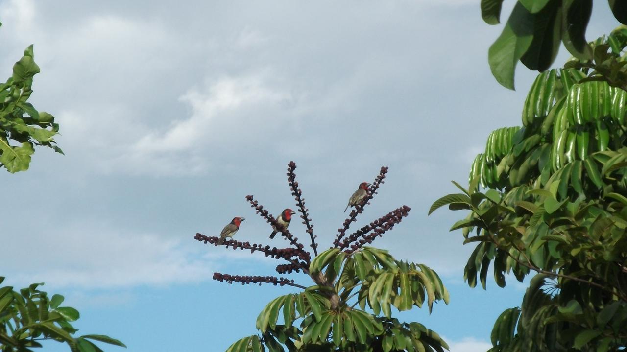 Eagles Nest Chalets Hazyview Bagian luar foto